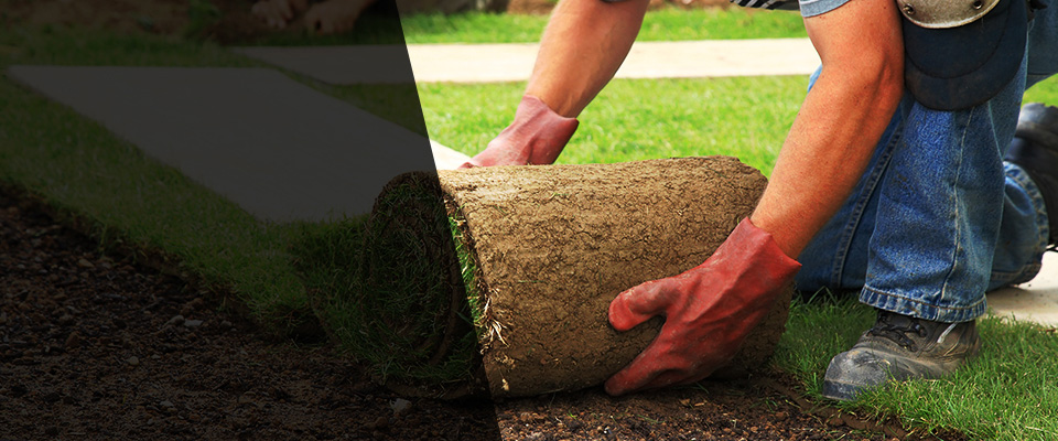 Carlisle Landscapers